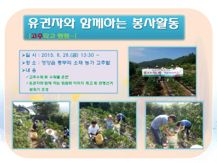 고추따기 봉사활동