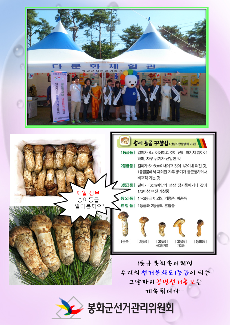 단체사진과 송이 등급 구별방법 정보입니다. 봉화1등급 송이처럼 선거문화도 1등급이 되는 그날까지 홍보활동을 계속됩니다.