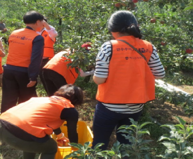 제3분임 직원들이 '민주주의 꽃은 선거입니다.' 홍보 슬로건을 새겨진 조끼를 입고 과수원에서 사과를 따는 모습
