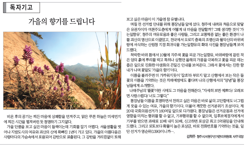 기고문 게재 화면 