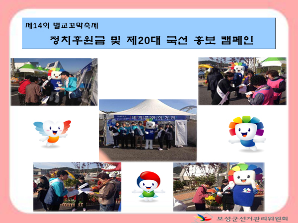 벌교꼬막축제 이용 정치후원금 등 홍보 캠페인