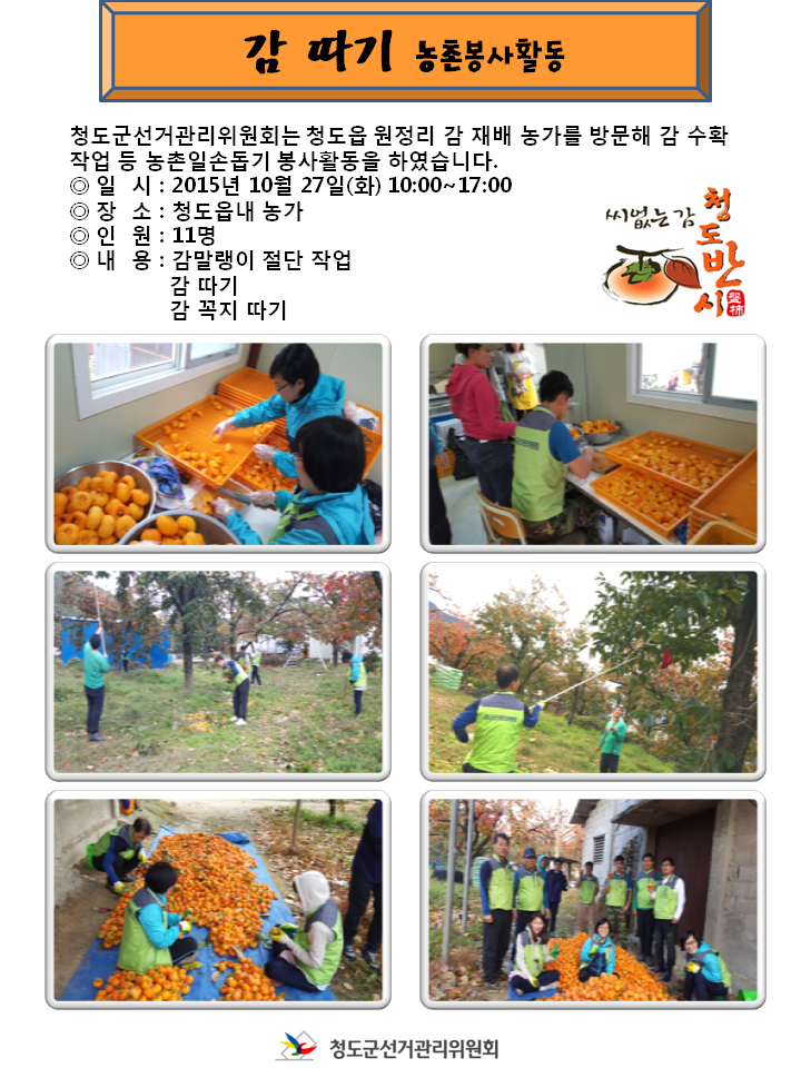 감 따기 농촌봉사활동